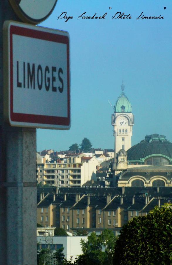 Hotel Du Parc Limoges & Restaurant "Le Temps D'Une Pause" Bagian luar foto